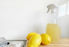 DIY Natural Cleaning Solutions 15 Amazing Recipes for a Sparkling Clean Home