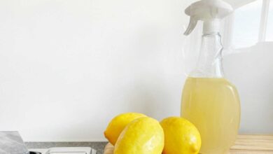 DIY Natural Cleaning Solutions 15 Amazing Recipes for a Sparkling Clean Home