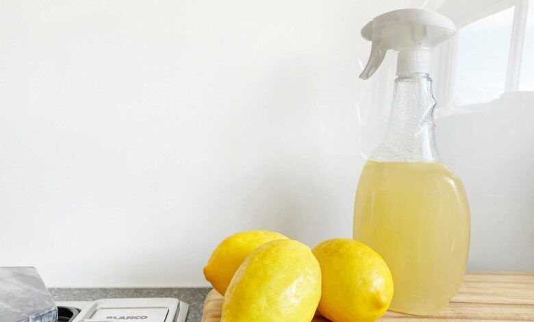 DIY Natural Cleaning Solutions 15 Amazing Recipes for a Sparkling Clean Home