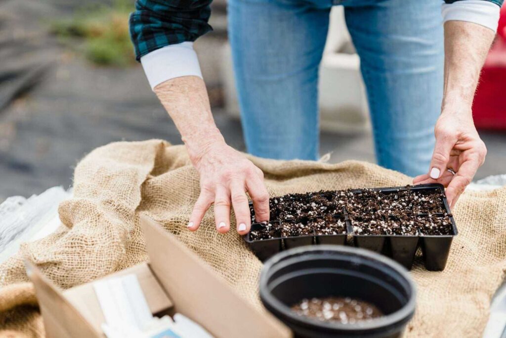 DIY Seed Starting Trays