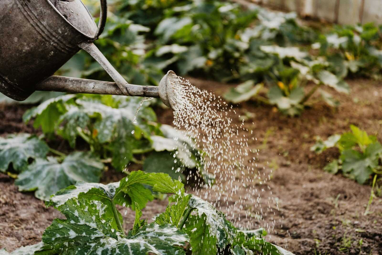 Composting 101