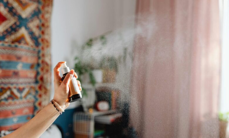 DIY Air Fresheners Natural Scents for a Fresh and Healthy Home