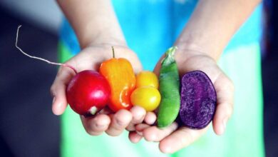 Local Food Local Wellness The Benefits of Eating Seasonally and Supporting Local Farmers