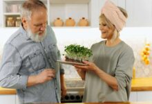 The Power of Herbs Grow Herbs at Home for Fresh Flavor and Sustainability