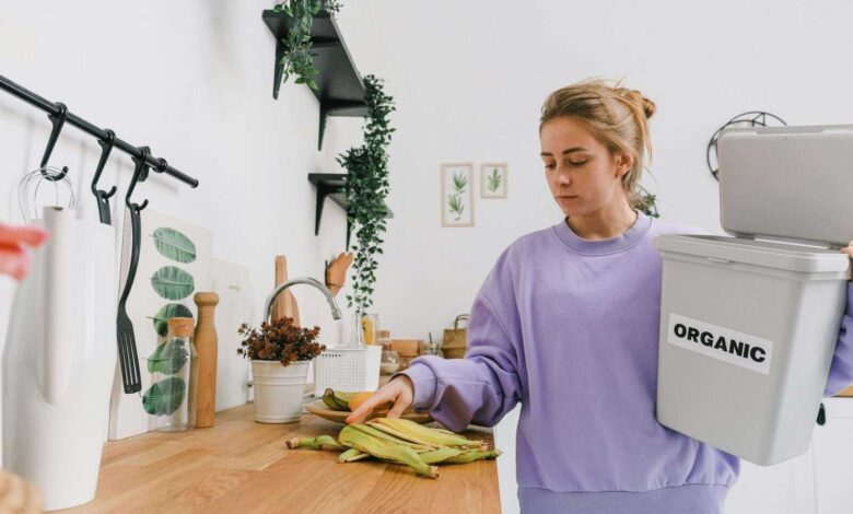 Compost Bin DIY Build Your Own Compost Bin for Kitchen Scraps