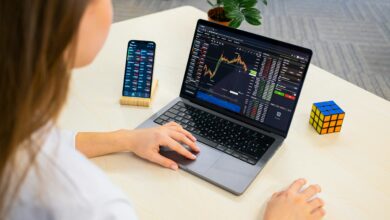 Dividend Stock Portfolio